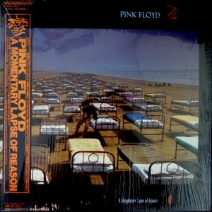 Pink Floyd - A Momentary Lapse Of Reason